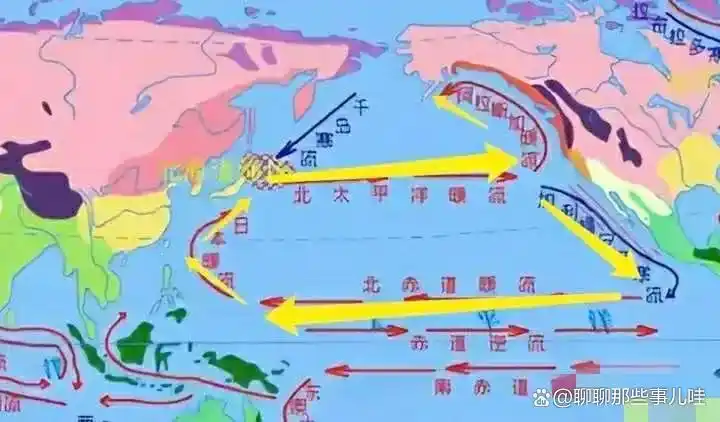 日本核污水排入大海各国反应_国际如何看待日本核污水排放大海_日本排放核污水入大海